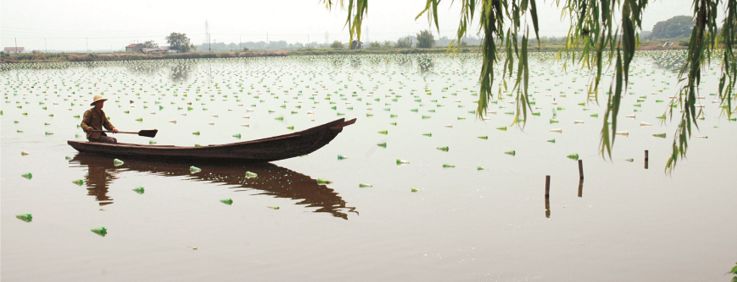 这里是徽州,这里是合肥