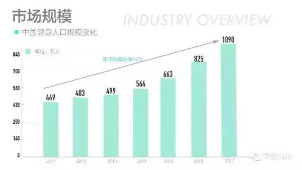 赛普健身2019业绩,赛普健身2018年收入