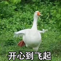 旅游大巴车免费需要提供什么,好消息半价车