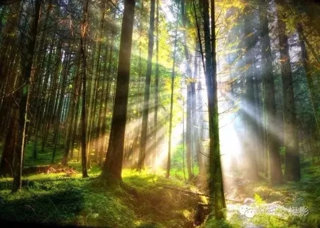 捷信三脚架选购,如何选择合适的三脚架