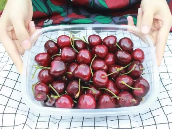 赣州车厘子最新官方消息,赣州产车厘子