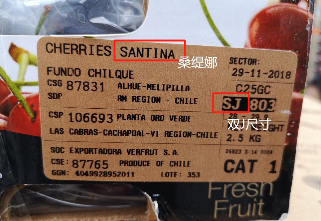 赣州车厘子最新官方消息,赣州产车厘子