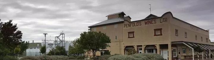 怎么辨别奔富真假酒,奔富假酒产量