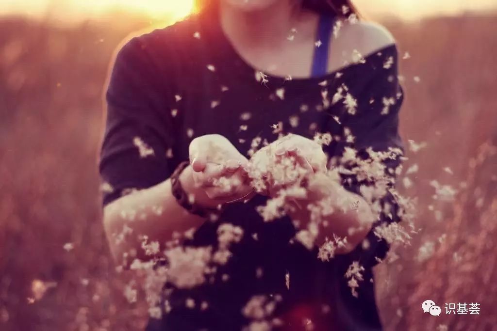 基金分红怎么交税,如何通过对冲基金赚钱