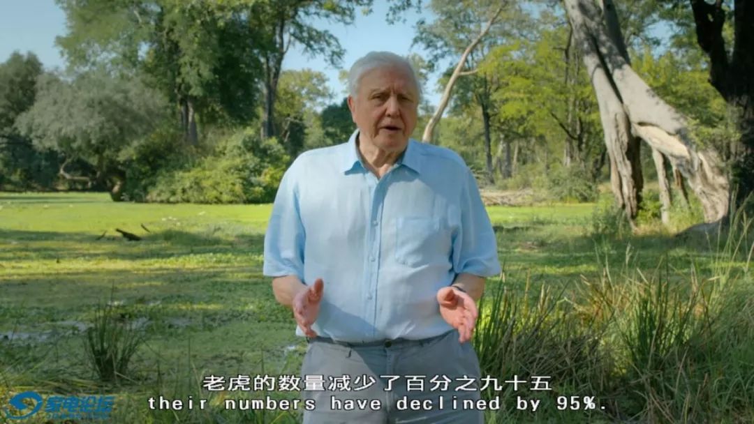 五千元内唯一支持杜比视界的UHD蓝光机-索尼X700 UHD蓝光机开箱晒单