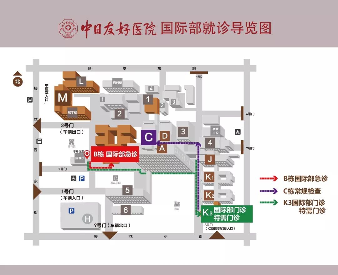 矮小症科普主题,矮小科普知识