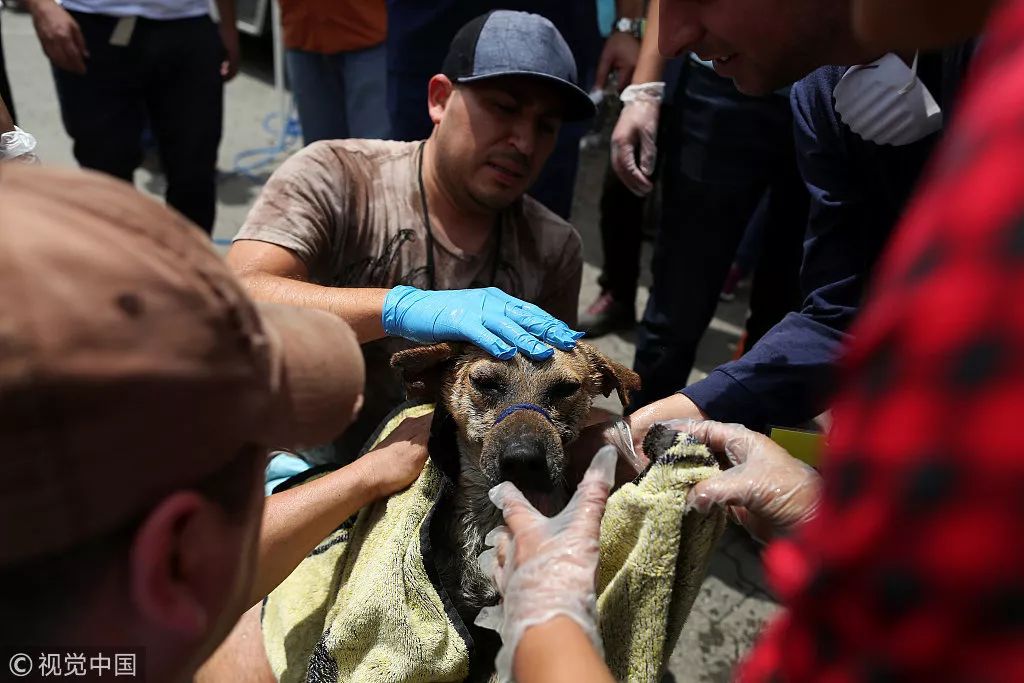 那些年小确幸,以前的那些小确幸