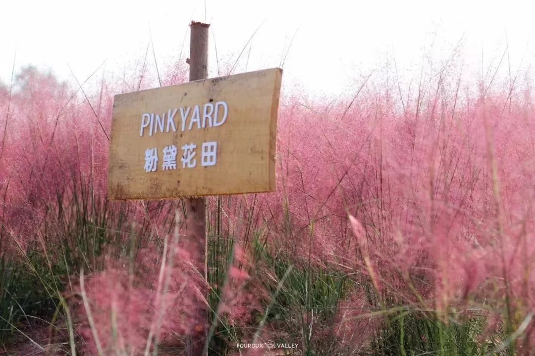 句容最美风景区,你还不知道有哪些美景