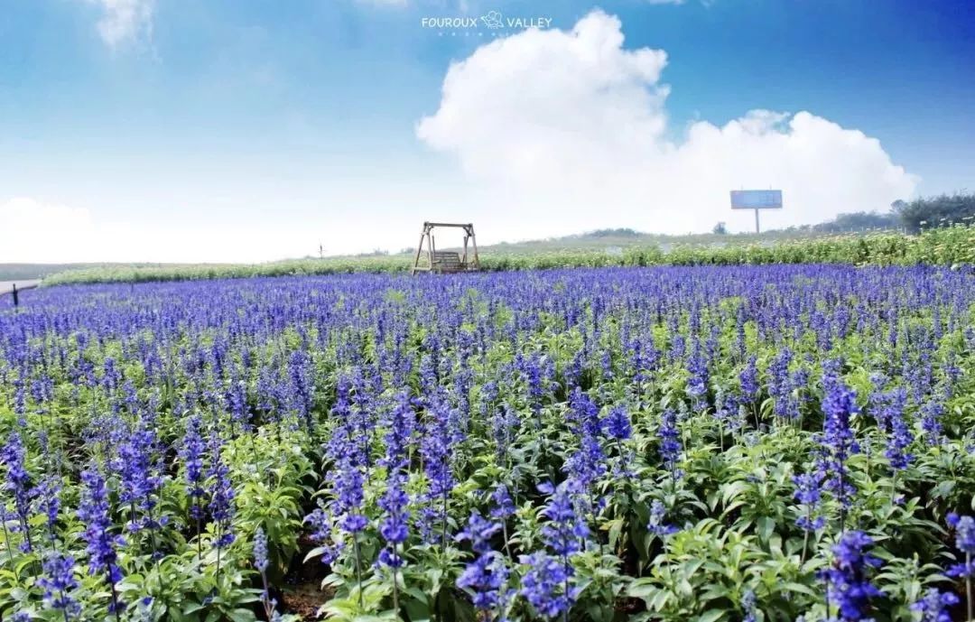 句容最美风景区,你还不知道有哪些美景