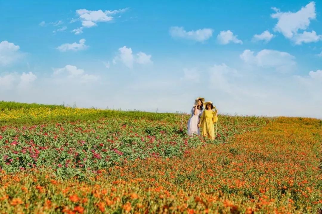 句容最美风景区,你还不知道有哪些美景