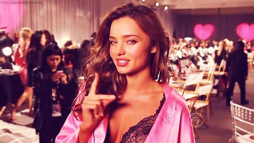 阳城县惊现白鹭,河南惊现白鹭