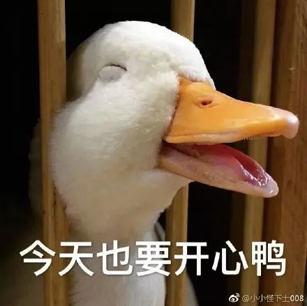 李佳琦到底用“OMG”骗了多少人的钱？！！