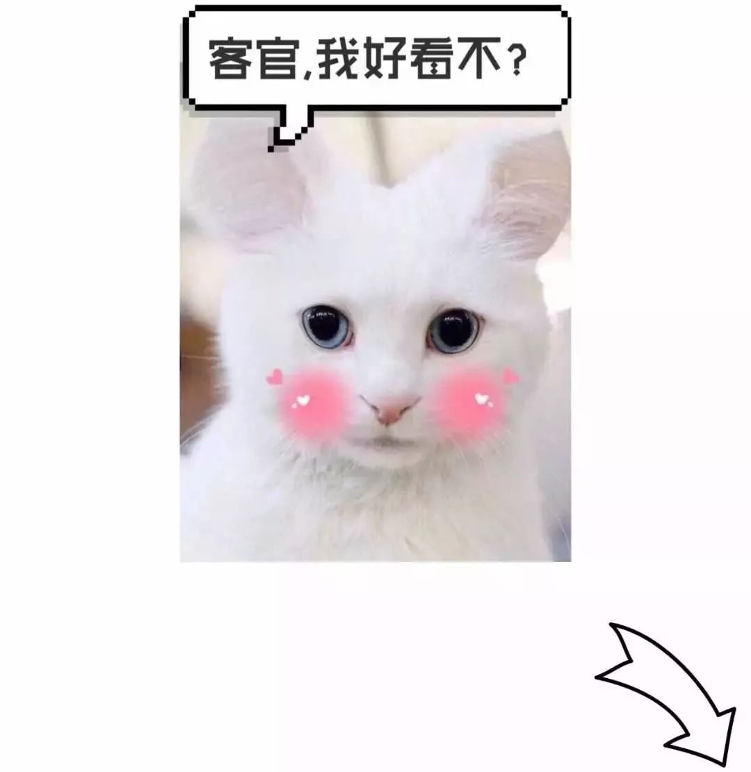 济青高铁潍坊到青岛,济青高铁潍坊段最新消息