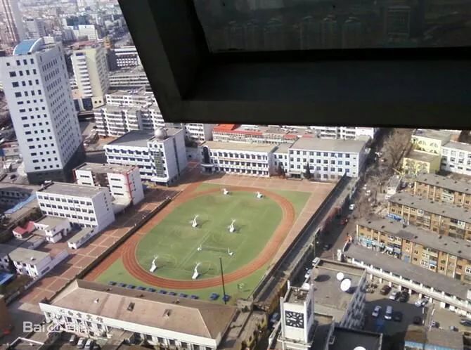 海港区事件,海港区教育局和体育局