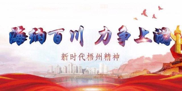 沙君俊广西驻京办主任,广西沙君俊公示