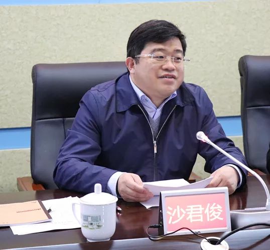 沙君俊广西驻京办主任,广西沙君俊公示