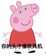 十大语文差错自测一下你中了几个,2023年十大语文差错排行榜