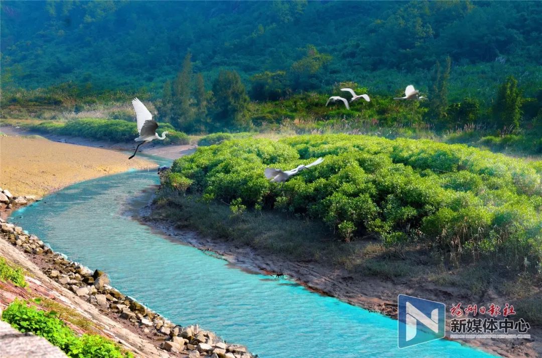 这里是宁德,这里是福建