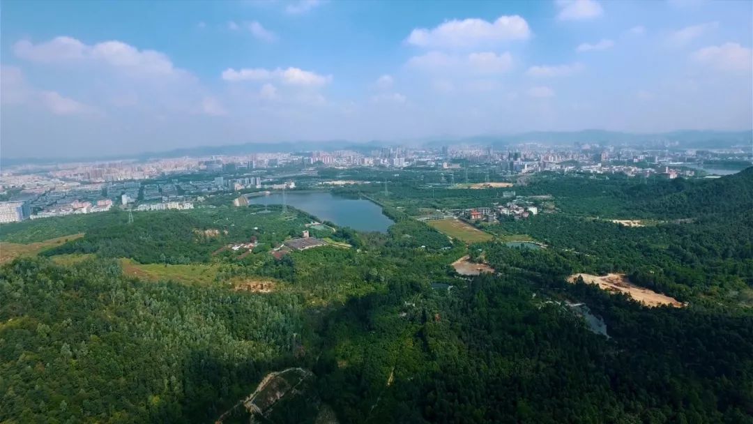 这里是深圳,这里是深圳宝安