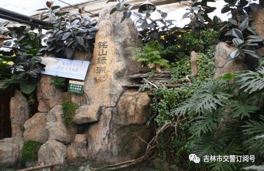 吉林高速交警最新通告,吉林省几点开始免高速费