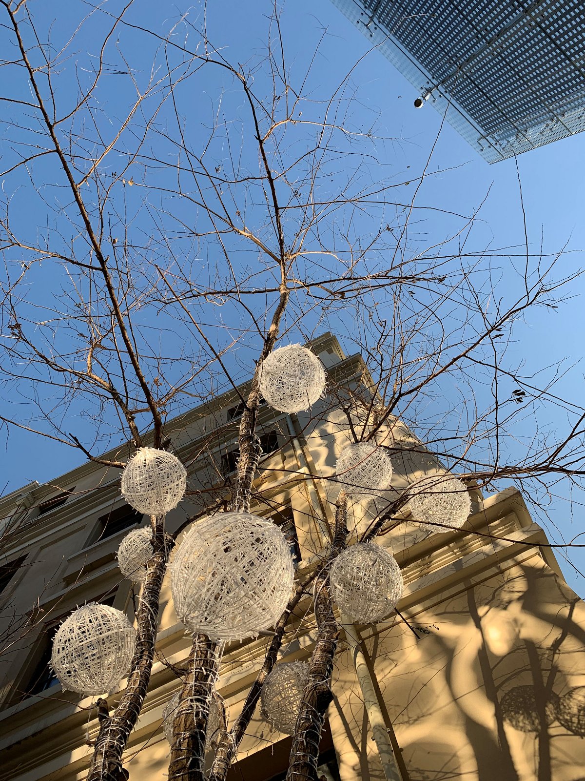 苹果xr主要是哪个摄像头拍照,苹果xr到苹果15前后置摄像头