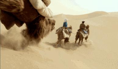 十年前的预言如今变成了现实,震惊的惊世预言