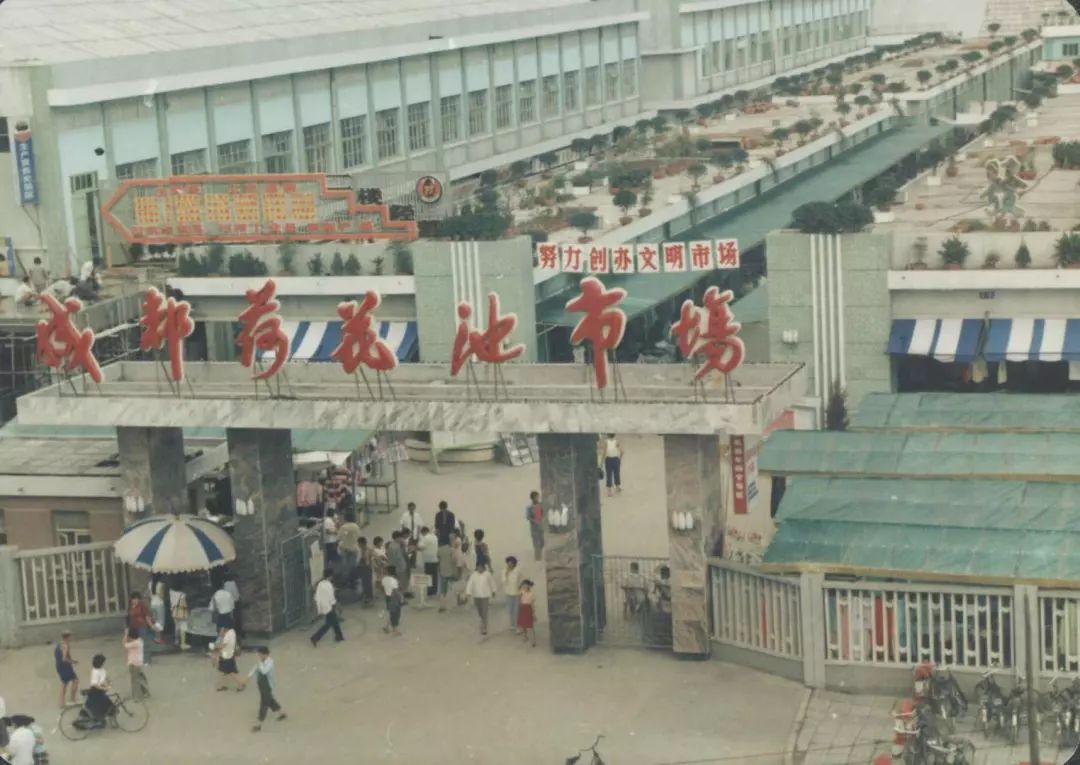 十年前的预言如今变成了现实,震惊的惊世预言