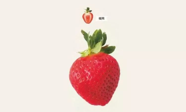 草莓黄心病最新治疗方案,草莓过敏症状怎么治