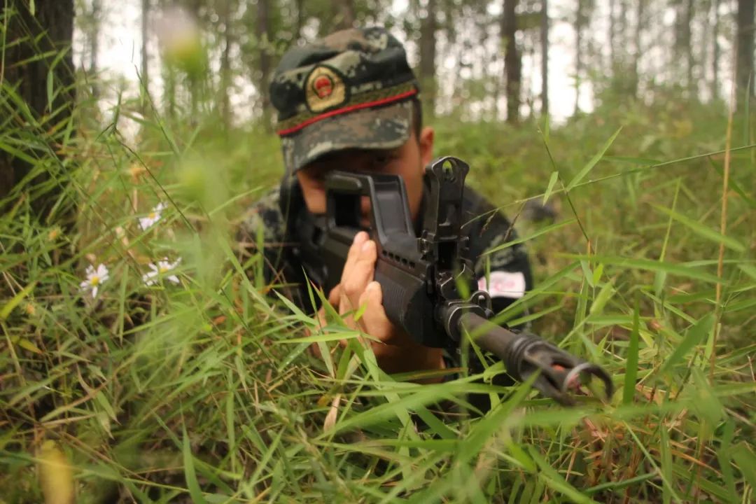 网络用语军营是啥意思,军营热词