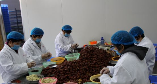 夏邑县特色农村,夏邑县前十村庄