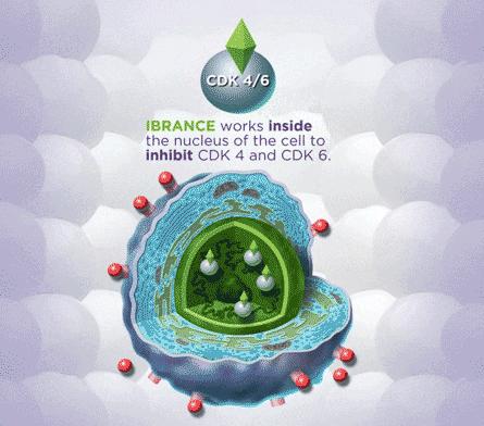 乳腺癌最新的抗her2靶向药 (乳腺癌靶向药物一览表)