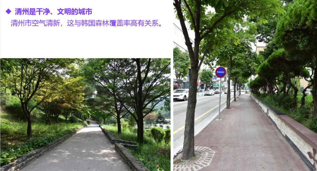 园林大讲堂｜清溪川：韩国人最引以为傲的生态改造项目