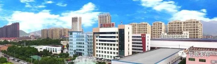 苍南仪表集团在香港,浙江苍南仪表有限公司