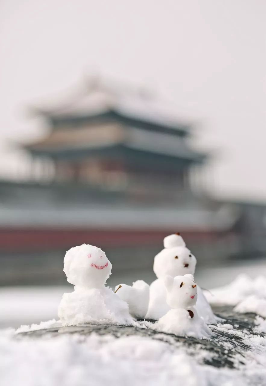 我见过最才华横溢的诗,关于才华横溢的诗句有哪些