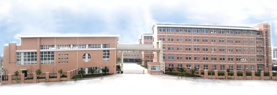 在学生心里播下一颗中医药的种子上海中医药大学中医药实践工作站