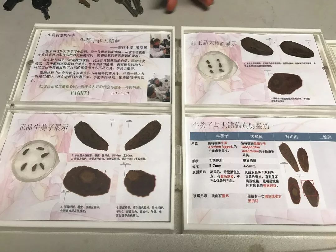 在学生心里播下一颗中医药的种子上海中医药大学中医药实践工作站