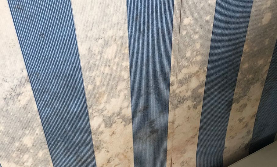 曹县小区墙皮脱落,邯郸一个小区墙皮大面积脱落