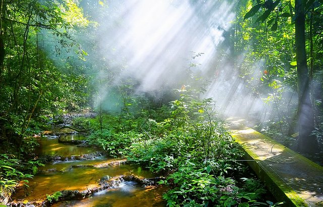1-2月十大必去旅行地,8个适合一个人去旅行的旅游胜地