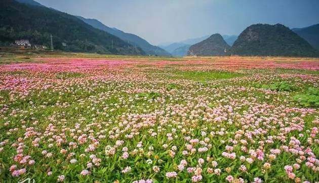 头条丨别劝了！我决定留在广西过春节，好吃又好玩，关键还不冷