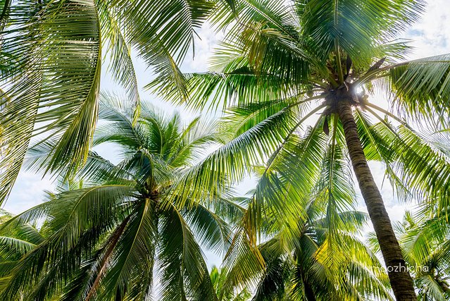 逃离阴冷的成都，到三亚享受这个冬天！