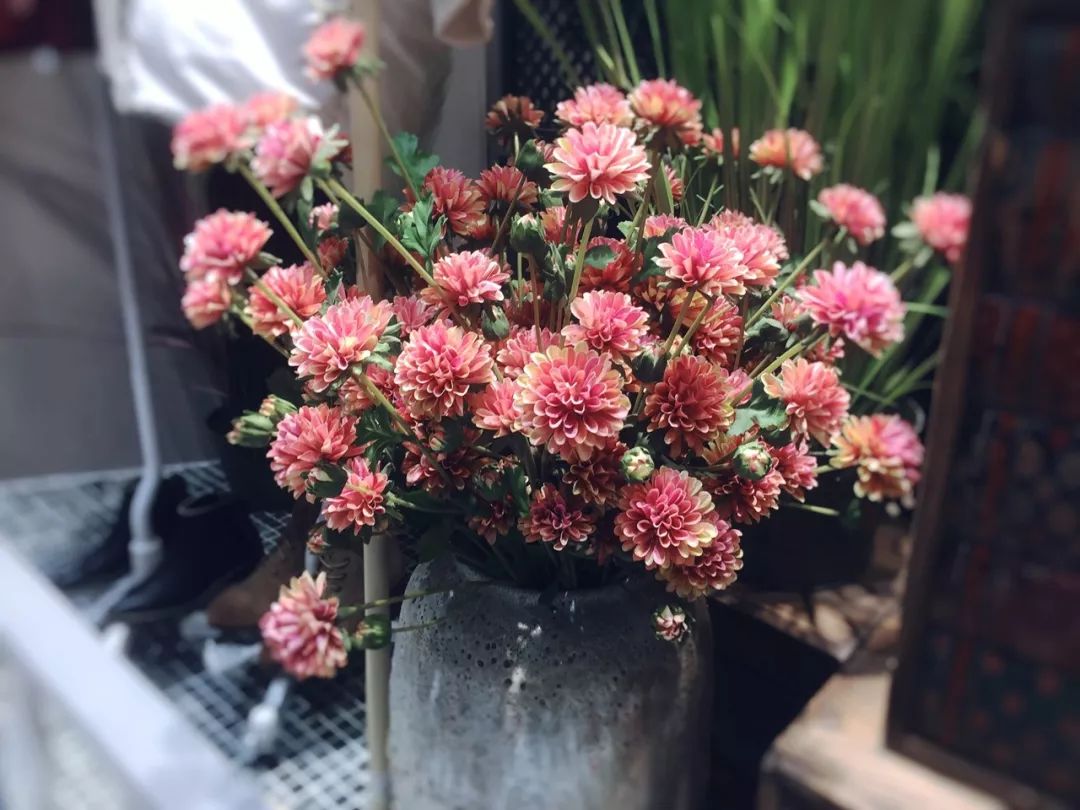 教师节诗词祝福朗诵,感恩教师节诗句