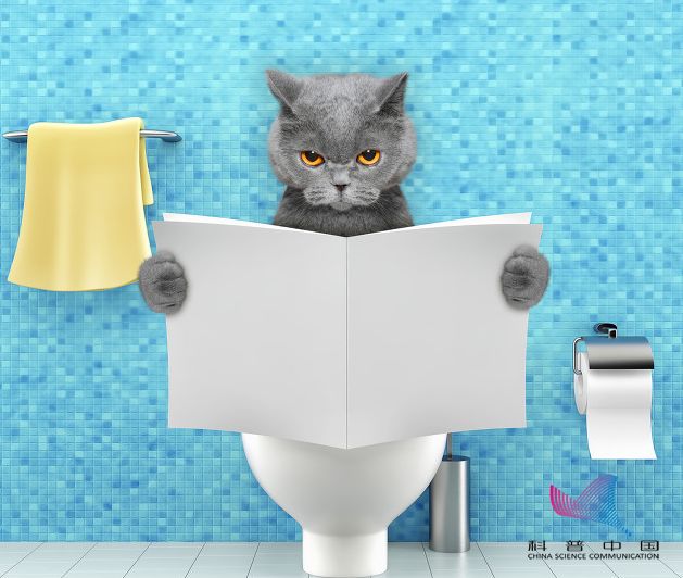 人一紧张就想尿是什么原因,一紧张就想拉大便怎么回事