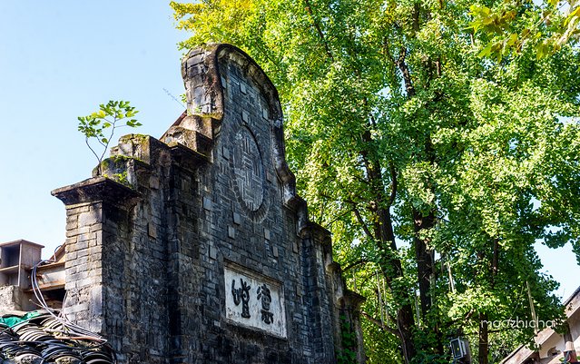 成都最值得去的景点和美食,成都旅游攻略五天四夜美食