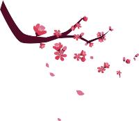 北京四中招收外籍学生吗,北京四中定向招生