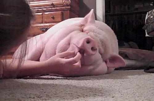 揭穿身边的骗局文章,揭穿新骗局视频