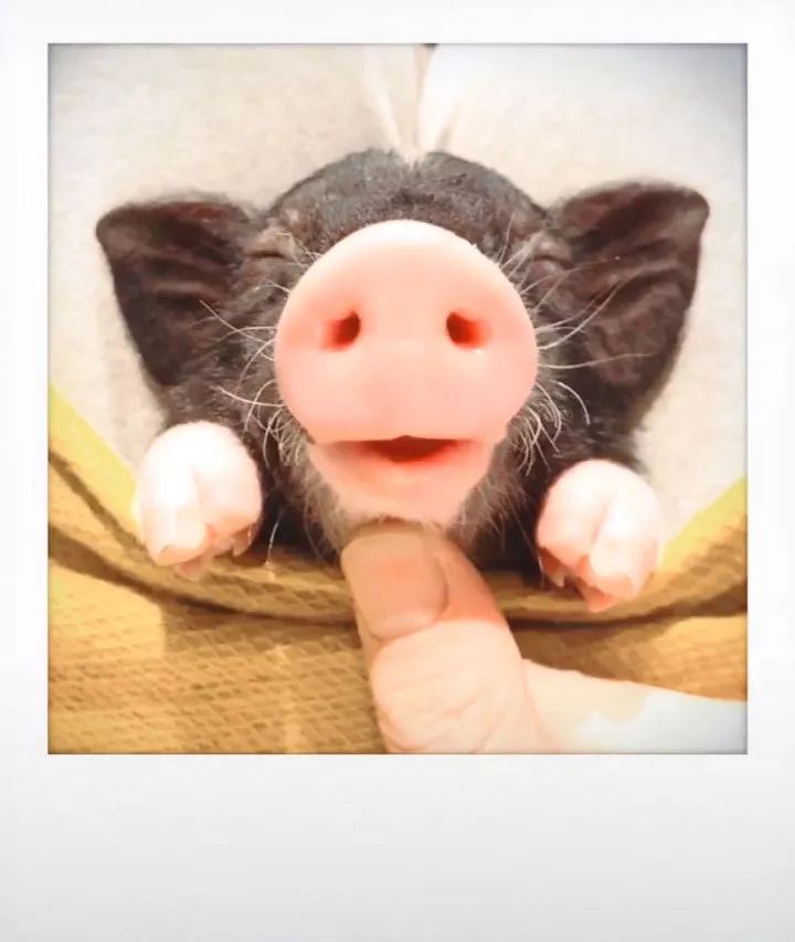 揭穿身边的骗局文章,揭穿新骗局视频