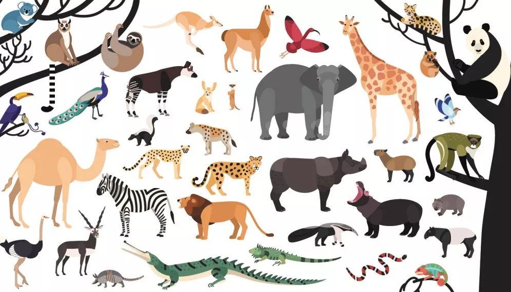 中国投资人,中国投资人排名及身价