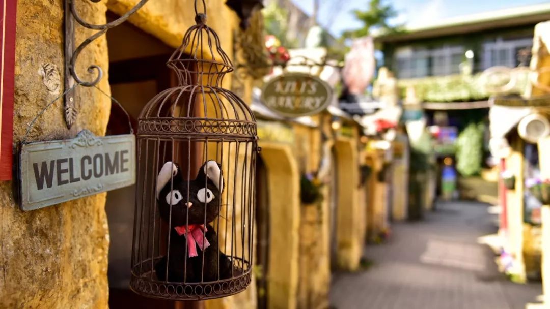 涨知识入境美国到底能带多少现金,涨知识的一次旅行