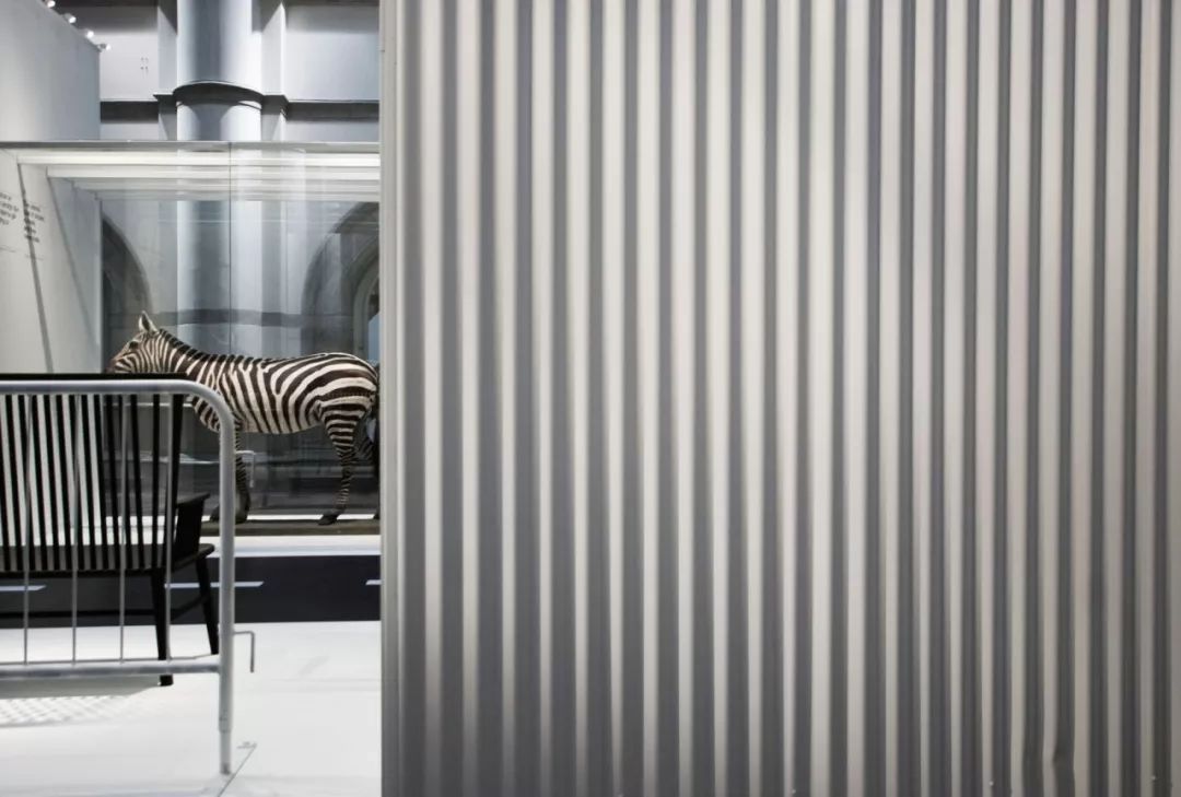 整个北欧的设计，都在这架飞机上