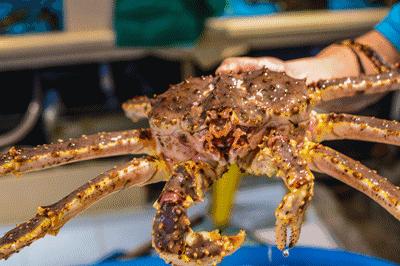 美食林新城购物广场电话,美食林综合商场